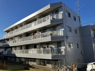 フィールドグレイの画像