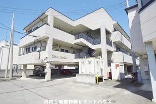 コモンNAKAHARAの画像