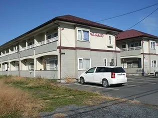 ニューサクラの画像