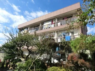 マンション志のぶ【3階】の外観