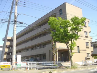 ジュネパレス向井【4階】の外観