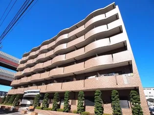 プラシードの画像