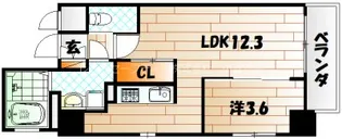 Erde三萩野【7階】の間取り