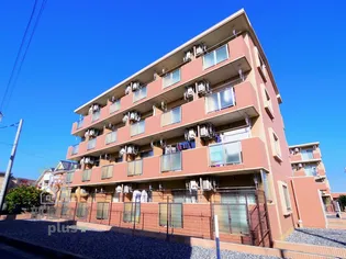 ラウレアの画像