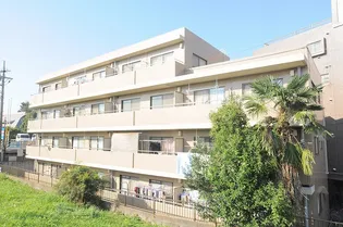 キャステールIIIの画像