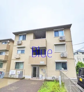 サンフラワー Bの画像