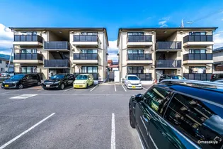 ドストーレスみわの画像