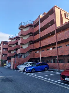 フローラルマキノの画像