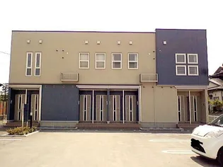 スプリング グレイスの画像