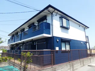 ピアチェーレの画像