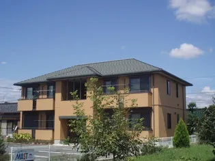 シェソワ Nの画像