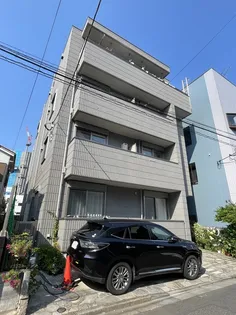 BRUNFELSIA ブルンフェルシアの画像