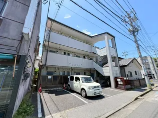 プリムローズの画像