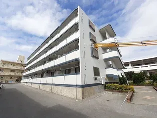 シュガーホームの画像