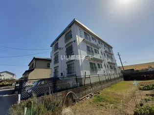 メゾン沢【2階】の外観