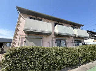 キャロットの画像