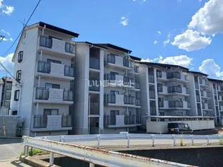 スクエアメゾン並河A【4階】の外観