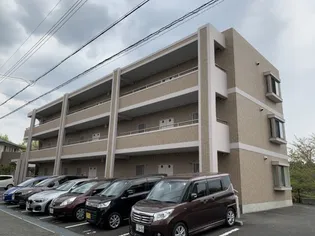 FOREVER HILL VIIの画像