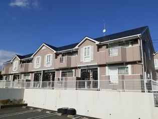 ベルウッド 381 Bの画像