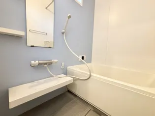 駒沢グリーンハウスの風呂