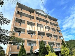 コラルリーフ21【4階】の外観