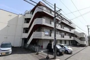 ライト クローバーの画像