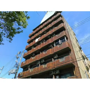 ルネッサンスロンシャンの画像