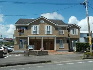 プリムローズの画像