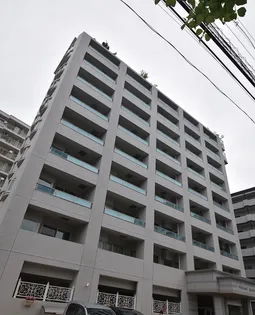 SHETLAND KUSUNOKIの画像