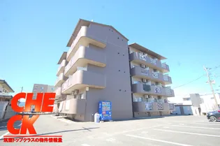 フラット6花元の画像
