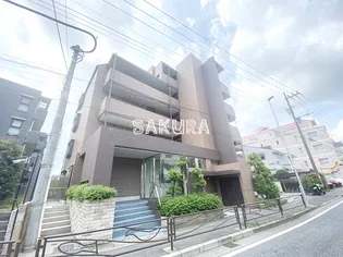 オキザリスの画像