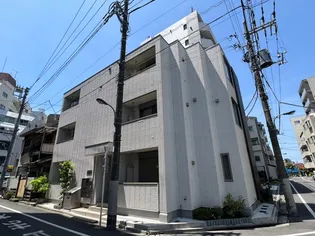 SAULE MARAISの画像