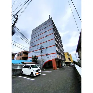 LILYーBEさくらの画像