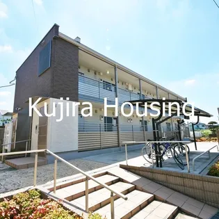 クレイノリゲルの画像