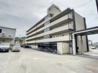 カルフールIIの画像