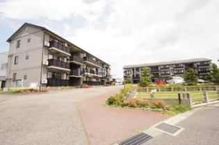 新潟県新潟市東区中興野【アパート】の外観