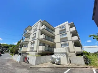 プチハピネス寺田の画像