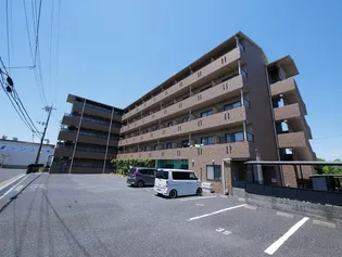 ラヴィニア北村 IIの画像