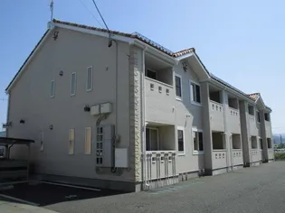 ベルチェリー Yの画像