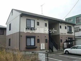 アイリスの画像