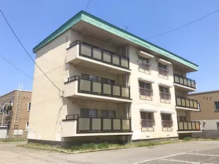 ラ・ネージュ桜川【3階】の外観