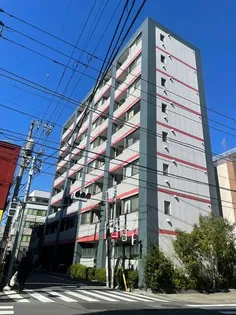 ラヴィンの画像