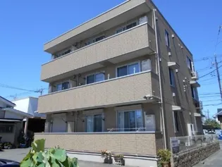 チェリーブラッサムの画像