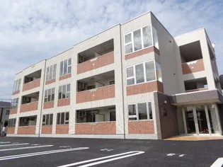 あざらしの画像