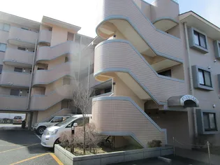 ピースフルトモエの画像