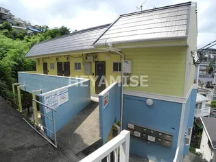 スカイコート錦の画像