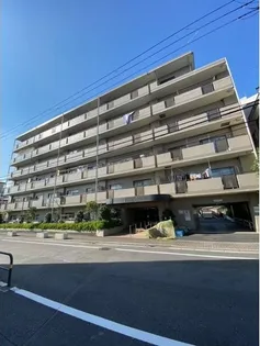 ウィル モトキの画像