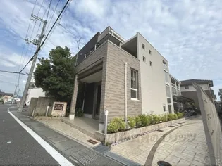 カモミール万葉の画像