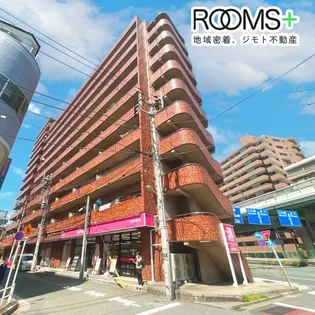 フラットフォーレストの画像