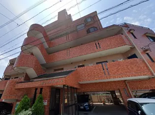 グレースホリベ2の画像